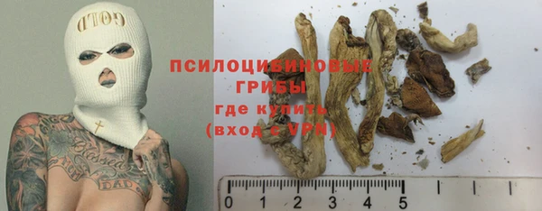 экстази Дмитров