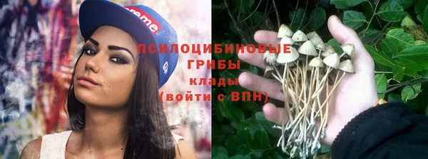 MDMA Дмитриев